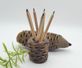 Stiftehalter aus Holz - Banksiazapfen