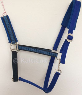 Kaltbluthalfter XL Kelten-Knoten Blau