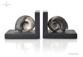FOSSILINE SET OF BOOKENDS