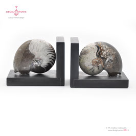 FOSSILINE BOOKENDS SET