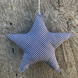 Xmas Star "Martigny"