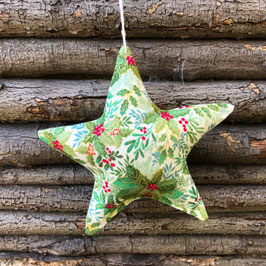 Xmas Star "Lausanne"