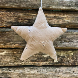 Xmas Star "rhine valley"