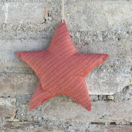 Xmas Star "Siena"