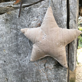 Xmas Star "rhine valley"