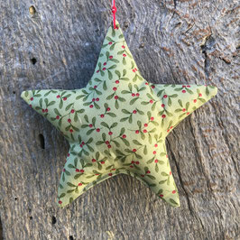Xmas Star "Ilex verde"