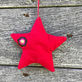 Xmas Star "Meran"