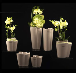 Tiziano Vase Armonia weiss creme
