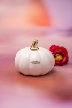 Tiziano Mini Kürbis Boglia weiß-creme