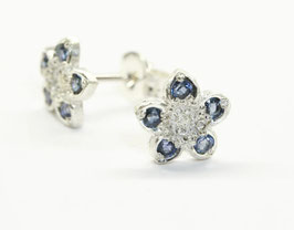 Wahenbergia Studs