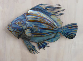 John Dory