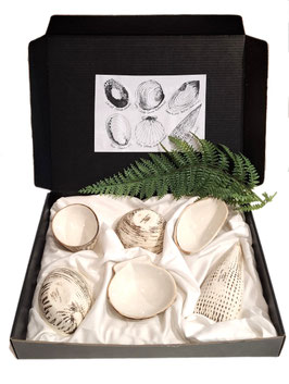 Dipping Bowl - Set of 6