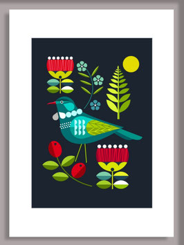 New Zealand Folk Tui - On Sale