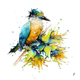 Kingfisher