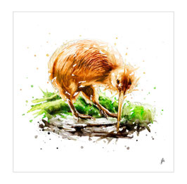 Kiwi