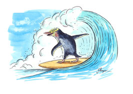 Surfs Up, Hoiho