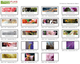 Fotoklappkarte "Faszination Natur"