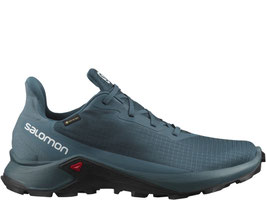 Salomon Alphacoss  GTX