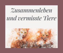 Onlinekurs "Zusammenleben mehrerer Tiere und vermisste Tiere" - Starttermin 01. April 2026