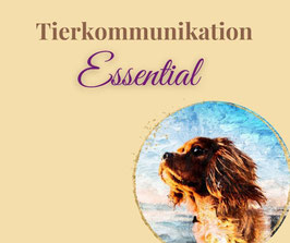 Onlinekurs Tierkommunikation "Essential".