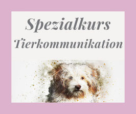 Spezialkurs Tierkommunikation - Start am 01. November 2024