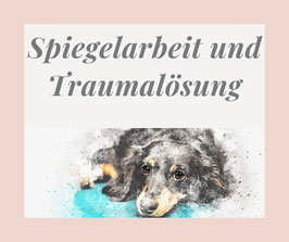 Onlinekurs " "Spiegelarbeit und Traumalösung bei Tieren"" - Wiederholer