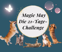 Magic May - Die 21-Tage-Challenge "Sprich mit deinem Tier"