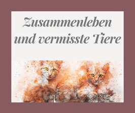 Onlinekurs "Zusammenleben mehrerer Tiere und vermisste Tiere" - Starttermin 01. April 2025