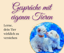 Kurs "Gespräche mit eigenen Tieren" - Start am 01. September 2026