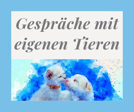 Kurs "Gespräche mit eigenen Tieren" - Start am 01. September 2025