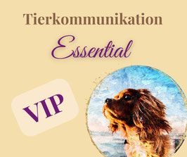 Onlinekurs Tierkommunikation "Essential VIP".