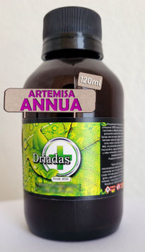 Artemisa annua