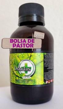 Bolsa de Pastor