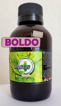 Boldo