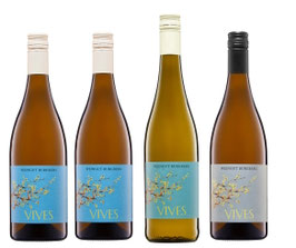 VIVES WEINbox  - Probierpaket