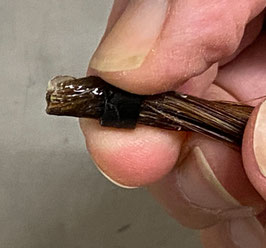 Extensions Rebond Service