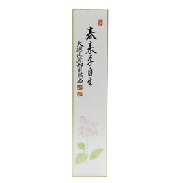【中古】短冊 画賛 「 春来草自生 」 紹尚