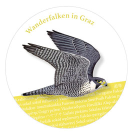 Aufkleber "Vögel in Graz"