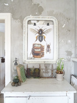 VERKAUFT Kas 01.11.  HONIGBIENEN alte 70x50cm Lehrtafel CRAMERS NATURKUNDLICHE ANSCHAUUNGSTAFELN