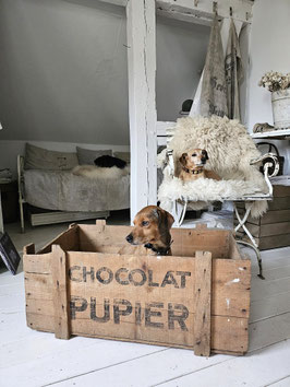 VERKAUFT Hym 08.07. 78cm uralte CHOCOLAT PUPIER Transportkiste