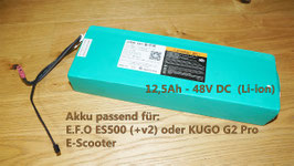 Original Akku für E.F.O ES500 (12,5Ah / 48V)