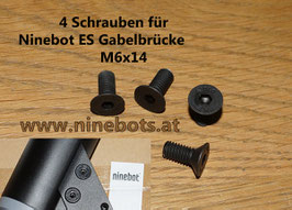 Ninebot by Segway Gabelbrücke-Schrauben (Inbus schwarz) 4 Stk.