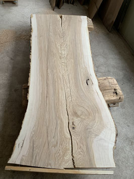 Riesen-Baum Tisch-Platte, Eschenholz. Länge 285cm. Nr. 9003.