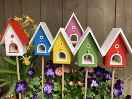 Blumenstecker     Mini-Vogelhäuser Bunt