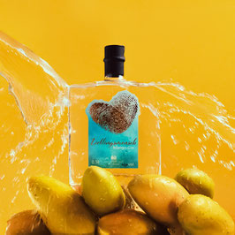Lieblingsmensch Mango GIN