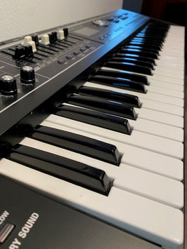 Roland VR-09 Combo-Keyboard 61 Tasten gebraucht