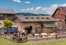 Schweinestall mit Schweinen