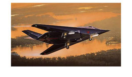 F-117A Stealth Nighthawk