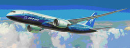 Boing 787-8  DREAMLINER