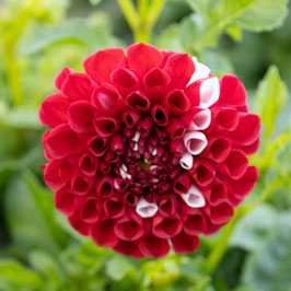 Zauber von Stockstadt